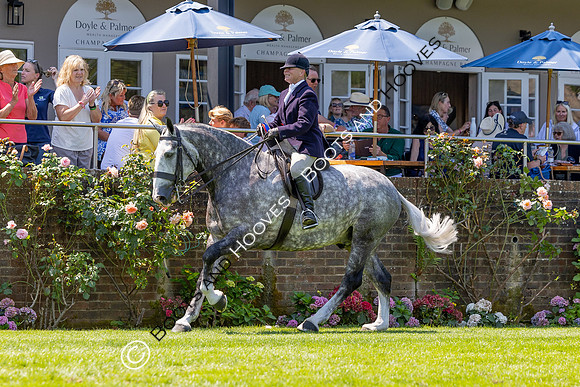 The Al Shira’aa Hickstead Derby