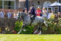 The Al Shira’aa Hickstead Derby