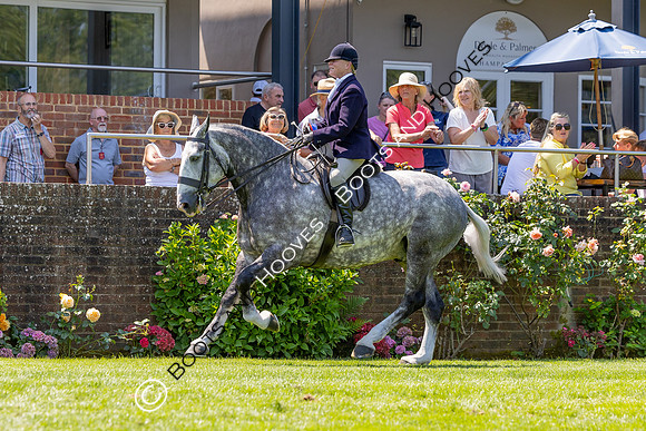 The Al Shira’aa Hickstead Derby