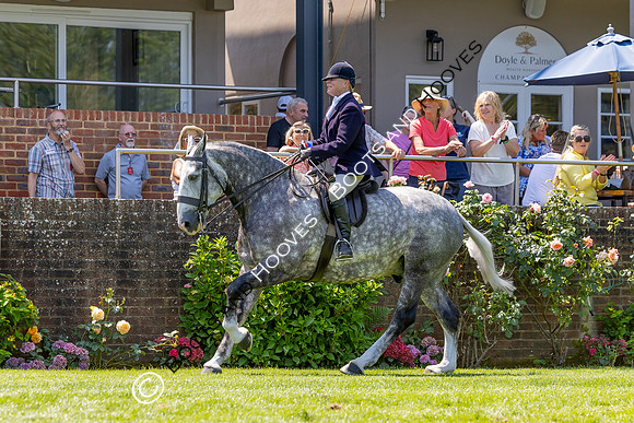 The Al Shira’aa Hickstead Derby