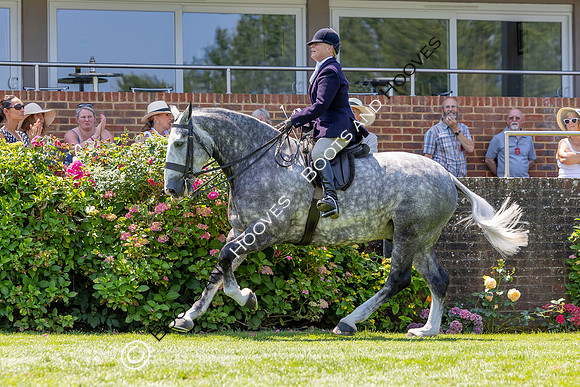 The Al Shira’aa Hickstead Derby