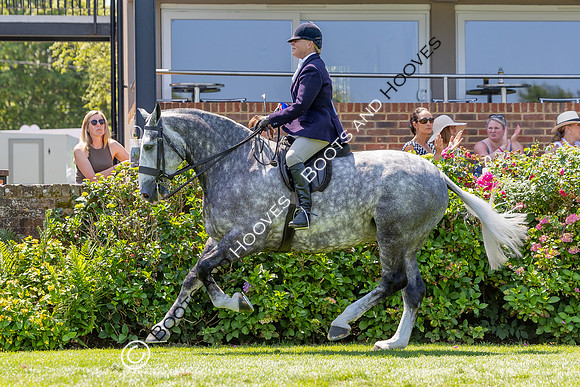 The Al Shira’aa Hickstead Derby