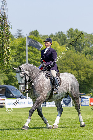 The Al Shira’aa Hickstead Derby