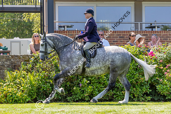 The Al Shira’aa Hickstead Derby
