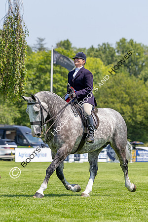 The Al Shira’aa Hickstead Derby