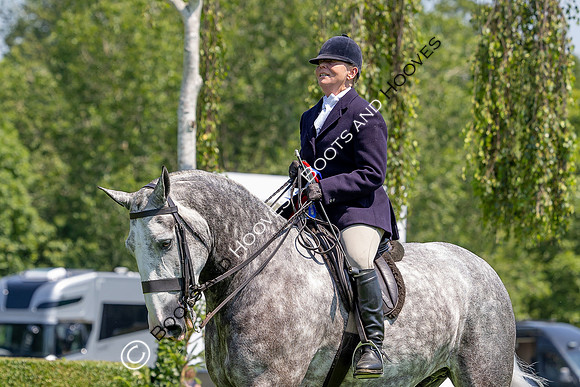 The Al Shira’aa Hickstead Derby