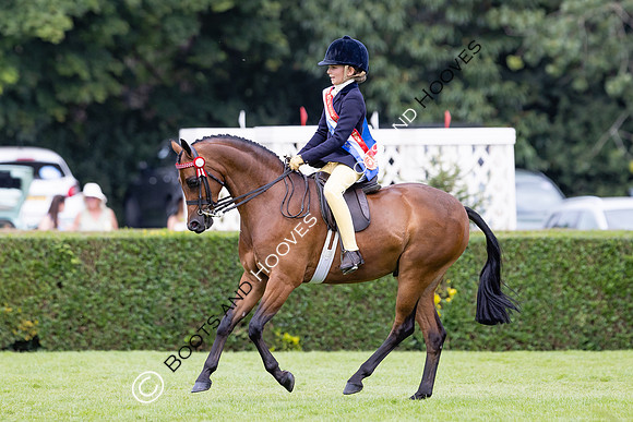 The Agria Royal International Horse Show