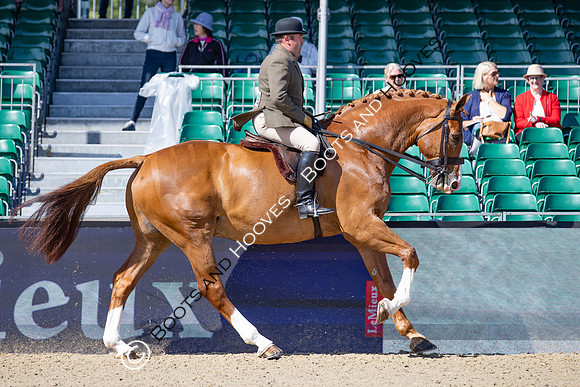 Royal Windsor Horse Show
