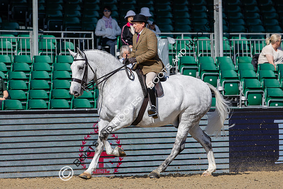 Royal Windsor Horse Show