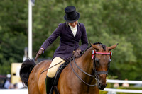 The Al Shira’aa Hickstead Derby