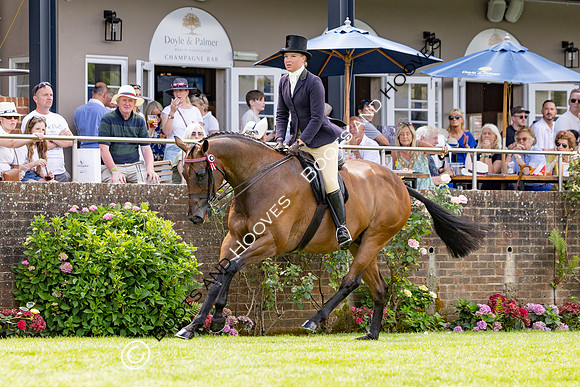 The Al Shira’aa Hickstead Derby