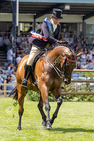 The Al Shira’aa Hickstead Derby