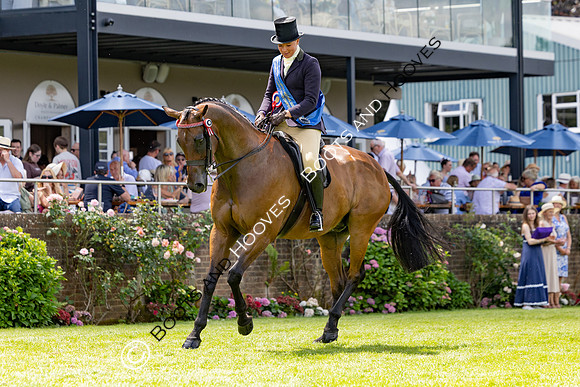 The Al Shira’aa Hickstead Derby