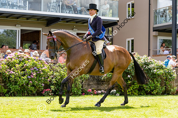 The Al Shira’aa Hickstead Derby
