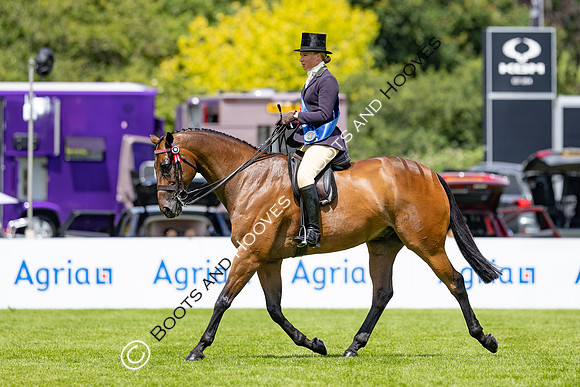 The Al Shira’aa Hickstead Derby