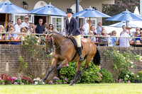 The Al Shira’aa Hickstead Derby