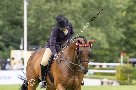 The Al Shira’aa Hickstead Derby