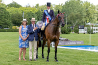 The Al Shira’aa Hickstead Derby