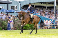 The Al Shira’aa Hickstead Derby