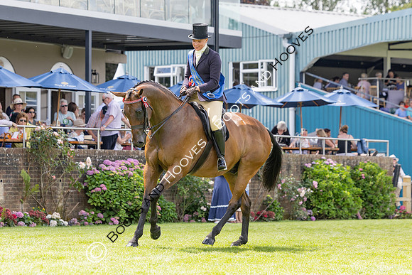 The Al Shira’aa Hickstead Derby