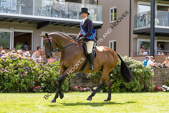 The Al Shira’aa Hickstead Derby