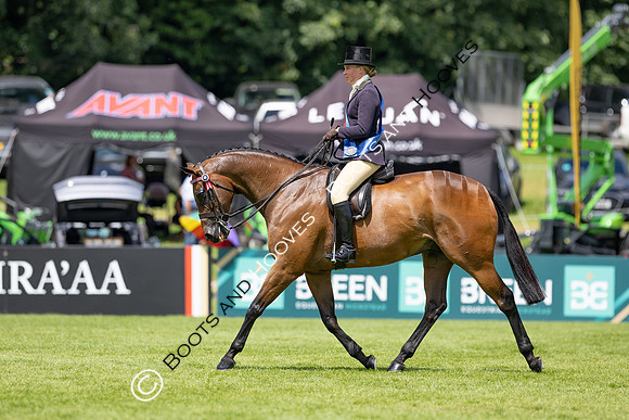 The Al Shira’aa Hickstead Derby