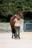 Badminton Horse Trials