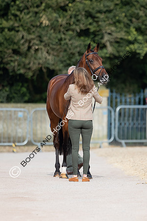 Badminton Horse Trials