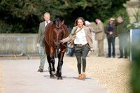 Badminton Horse Trials