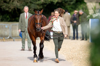 Badminton Horse Trials