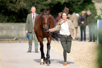 Badminton Horse Trials