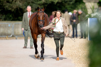 Badminton Horse Trials