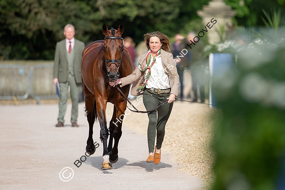 Badminton Horse Trials