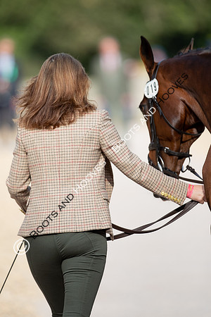 Badminton Horse Trials