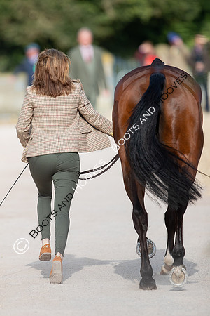 Badminton Horse Trials