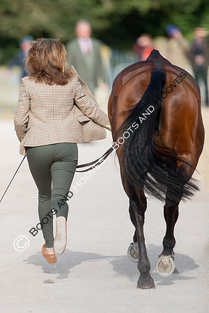 Badminton Horse Trials