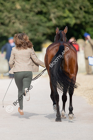 Badminton Horse Trials