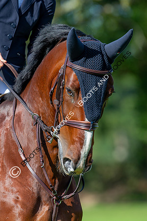 Science Supplements All England Jumping Championships