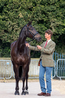 Badminton Horse Trials