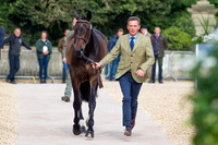 Badminton Horse Trials