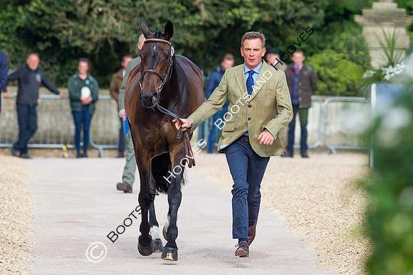 Badminton Horse Trials