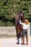 Badminton Horse Trials