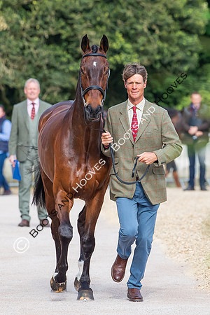 Badminton Horse Trials