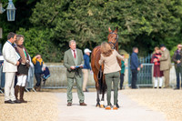 Badminton Horse Trials