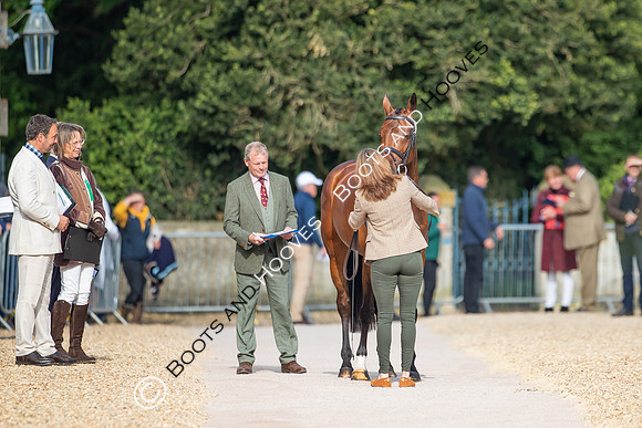 Badminton Horse Trials