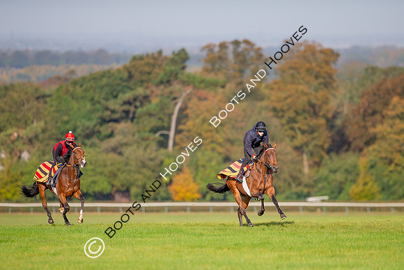 Newmarket