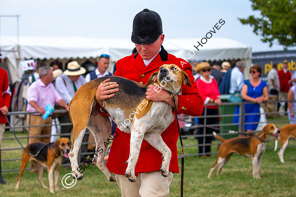 Festival of Hunting