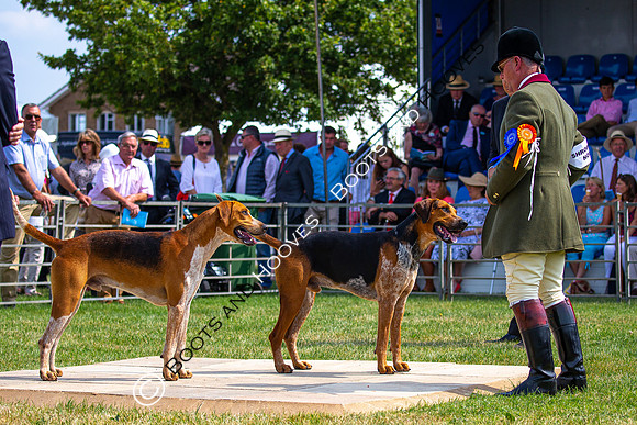 Festival of Hunting