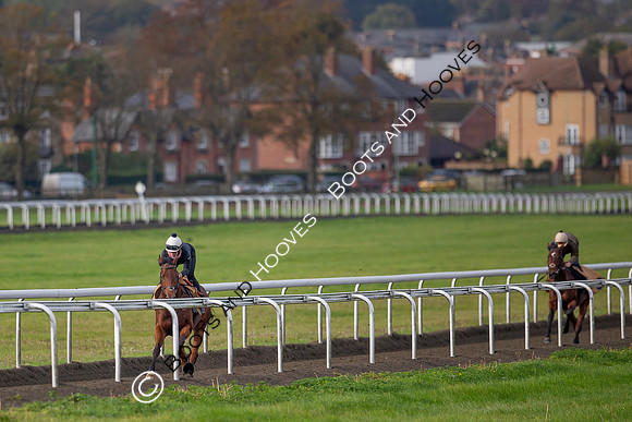 Newmarket