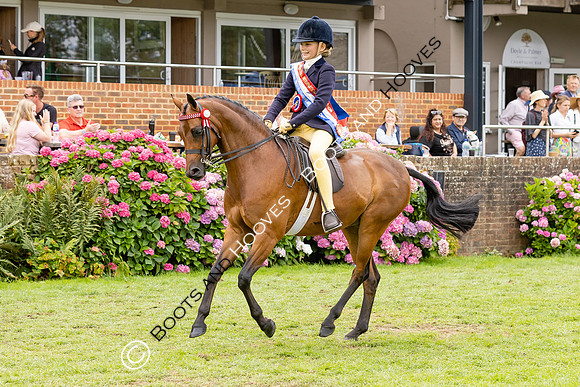 The Agria Royal International Horse Show